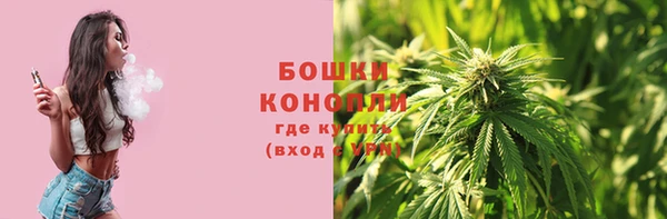 а пвп мука Богданович
